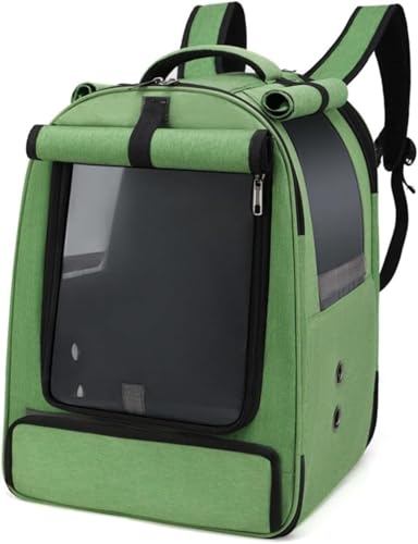 L[ CR obO p bN  P[W ړp UP[W o o[hLA Oo p ^ X^hXeBbNƃvX`bNt[hJbvt܂pobO o[hLA bN ʋC L (O[