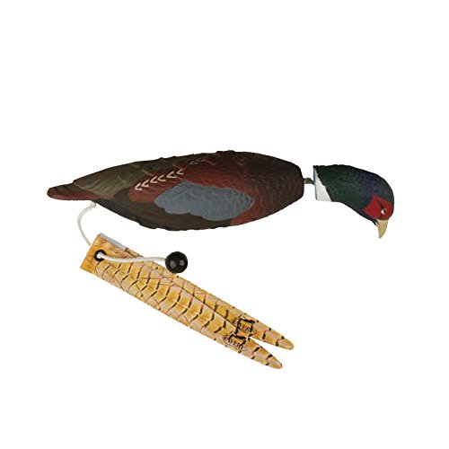 Avery Sporting Dog EZ-Bird Training Dummy – Realistic Floating Retriever Bumper for Water & Field Training (Pheasant)