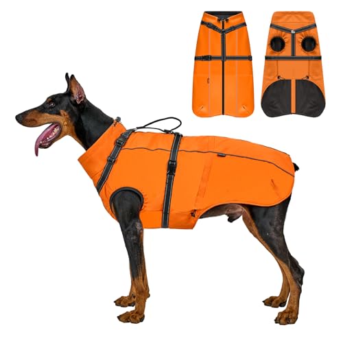 OneTigris Hundejacke, Wasserdichter Winterweste Jacken Hundemantel Mit Bediengriff, Bequeme Ausscheidung, Reißverschluss und Elastisches Design, Einfaches An-und Ausziehen, Reflektierend,M,Orange