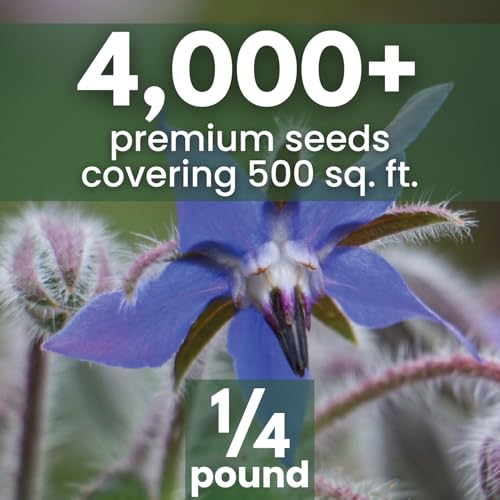 Borage – 4,000 Seeds for Planting – 2026 Season – 4 Ounce Pouch - Image 2