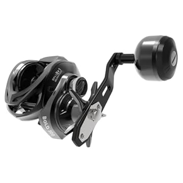 baitcaster with magnetic brakes