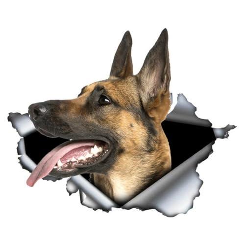 Autocollant Belgian Malinois - Effet déchiré 3D - Imperméable - Réfléchissant - Design chien -...