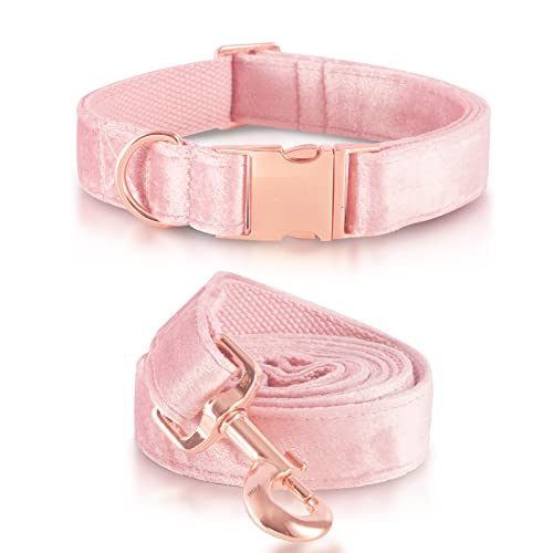 Bubblepupvelvetdogcollarandleashsetdogcollarsforsmallmediumlargedogsleashfortrainingwalking  Urban Country Home Decor Bubblepup velvet dog collar and leash set dog collars for small medium large dogs leash for training walking  urban country home decor