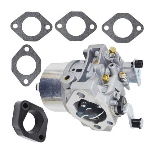 Carburateur 491912 pour redonner de la puissance à votre tondeuse de jardin ce printemps