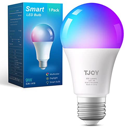 The Best Bluetooth Light Bulb In 2022