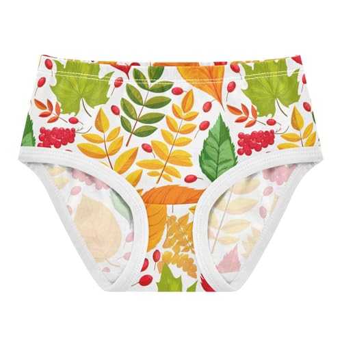 Joisal Cotton Toddler Underwear Floral Autumn Leaves Berries Little Girl Panties Colorful Briefs Girls Undies 2t