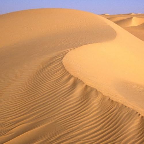 Quel est le sens du Car&ecirc;me? par le P&egrave;re Sylvain Gasser