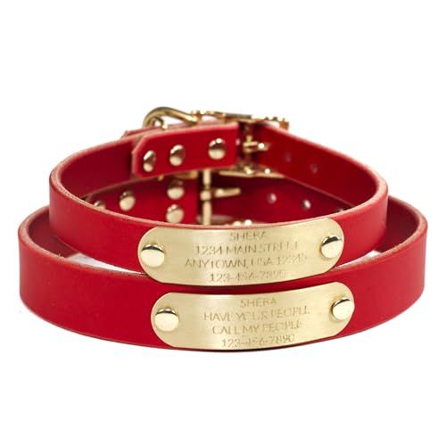 Handmade Personalized Bridle Leather Dog Collar with Brass Nameplate