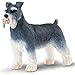 Safari Ltd Best in Show Schnauzer