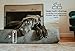 Barker Beds Large Orthopedic Dog Bed for Large Dogs - 7