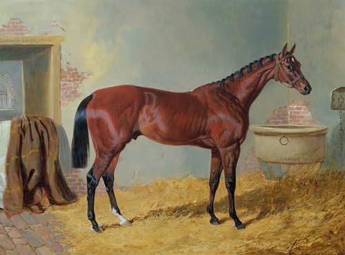 Tableau Toile Mr Wrathers Nutwith par Frederick Herring 60x90cm