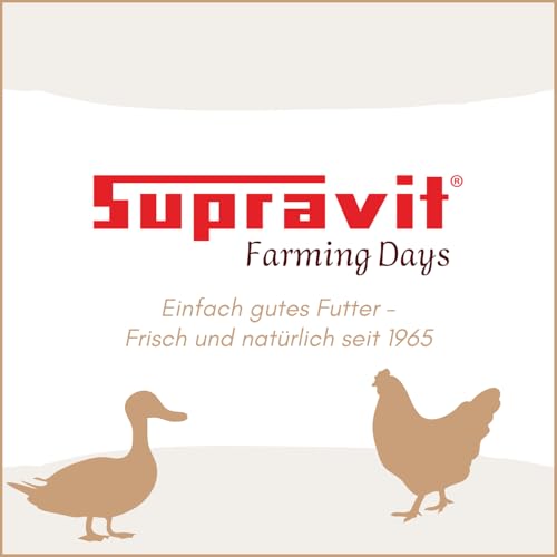 Supravit Wachtelfutter 25kg | Vollwertige Körnermischung für Wachteln, Legewachteln und Hühner als Alleinfutter | Wachtel Futter mit Hirse Glanz Perillasaat Raps Haferflocken Hafer und Leinsamen