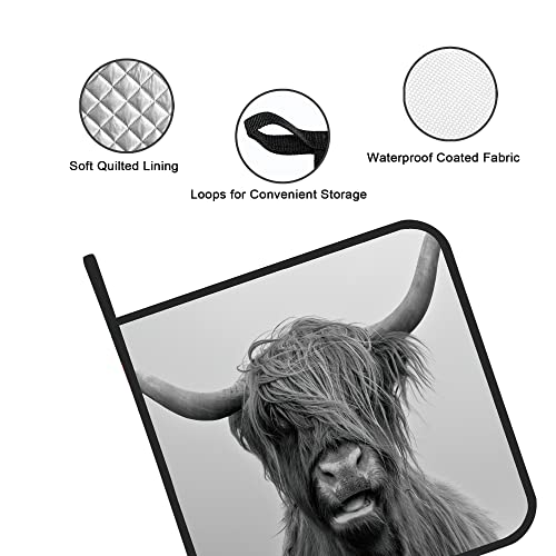 Highland Cow Pot Holders Set Of 2 Kitchen Heat Resistant Potholder For Microwave Cooking Baking Oven End Dishes And Bbq #TOP2