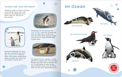 Mein großes Geräuschebuch – Tierbabys: Mit 43 Sounds | Hochwertiges Soundbuch mit realistischen Sounds für Kinder ab 24 Monaten