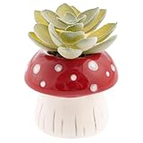 Karma, Shaped Succulent Pot, Artificial Faux Mini Succulents in Ceramic Pot, Desk Decor, Office Plants, Mushroom