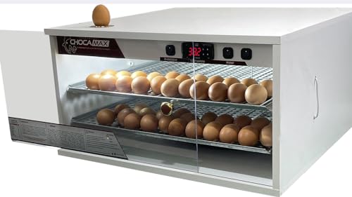 Chocadeira 240 Ovos Ovos Com Ovoscópio Automática Digital