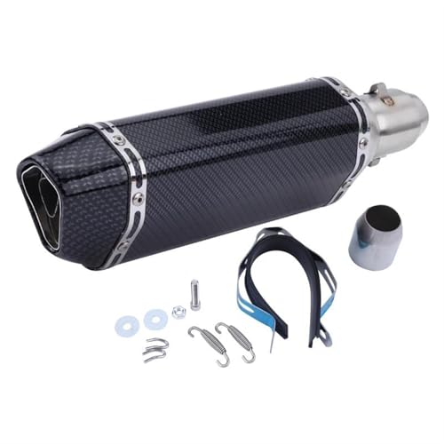 Queue d'échappement de moto en carbone premium pour Z900 et Z1000
