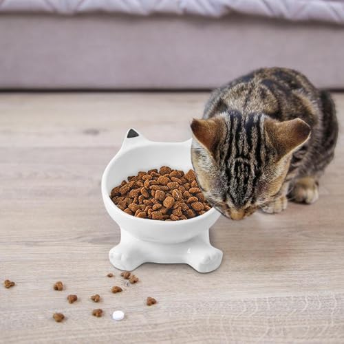Bol pour chat surélevé résolvant les vomissements et renversements
