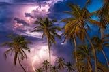 Dramatic Florida Storm Photography Print - Lightning Over Palm Trees Tropical Wall Decor - Florida Storm Coastal Wall Art Photo Print for Home or Office
