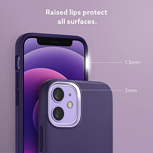 Image of CASEOLOGY Nano Pop Back Cover Case Compatible with iPhone 12 Mini (Thermoplastic Polyurethane and PC | Grape Purple)