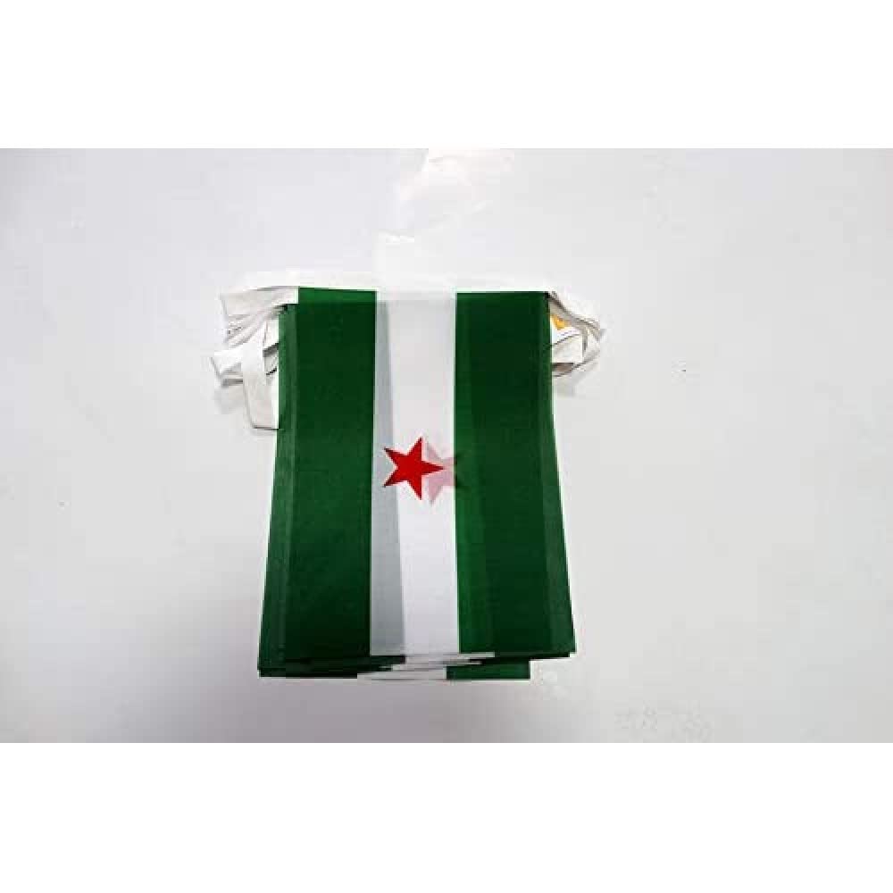 AZ FLAG Andalusia Independentist Bunting 20 ft 20 flags Light Polyester