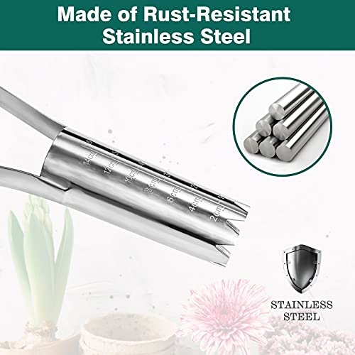 Berry&Bird Garden Bulb Planter with 6 inches Depth Mark, Garden Bulb Transplanter Tool with Wooden Handle, Stainless Steel Soil Release Tool for Transplanting Digging Planting Flowers