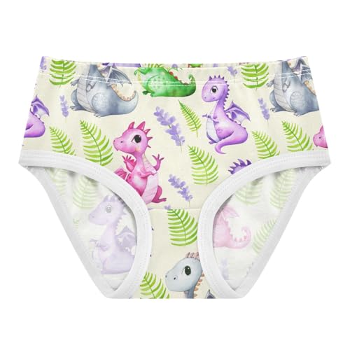 Joisal Cute Cartoon Dragons Beige Girls Underwear Toddlers 2t Cotton Cute Panties Girl Stylish Kids Undies Briefs