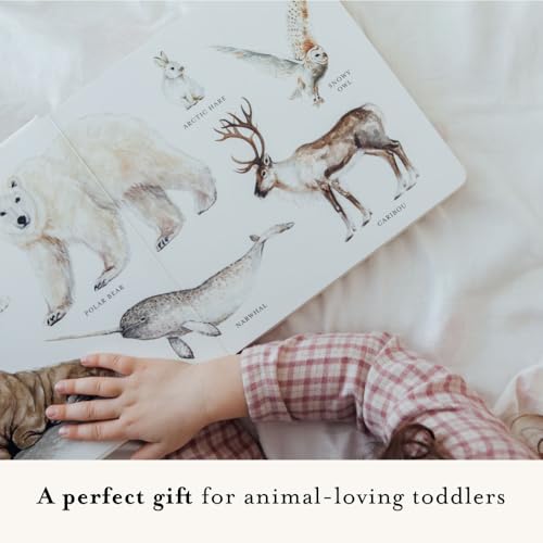 Image of Our Big Book of Animals: First 100 Animal Words for Language Development, including Farm, Jungle, Pets, Bugs, and More (Tabitha Paige Children's Book Series)