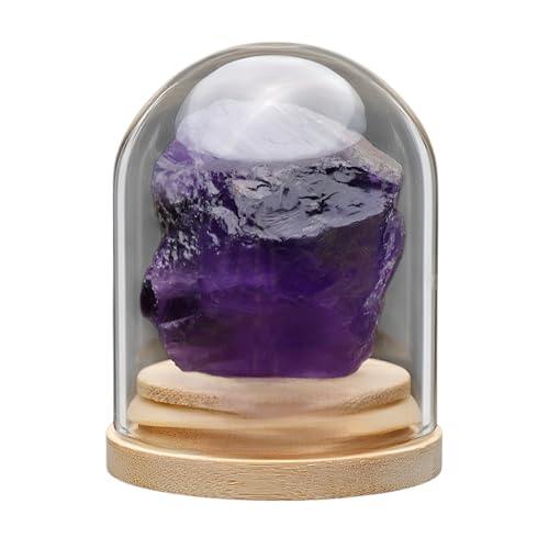 [prosekor]7/25VRzΕW{Zbg ΂ ΕW{yےnwcF IGC {̒nW{zKXr+ؐX^h W{Lbg ۂݏ qǂTCGXLbg NX}X v[g bN~l RNV 