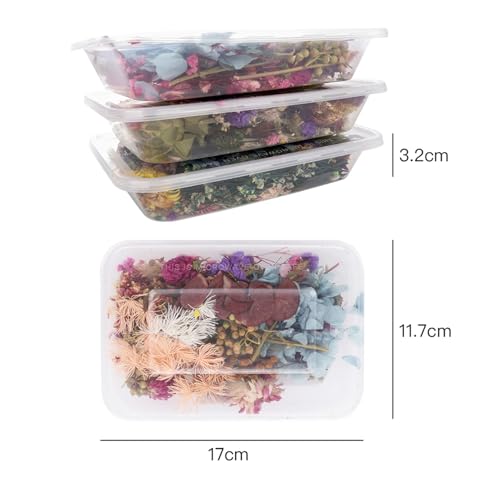 Kit de flores secas para manualidades con pétalos naturales miniatura 2