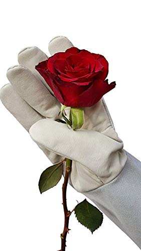 Image of Heavy Duty Split Leather Gardening Gloves, Long Cuff Thorn Protection Work Gloves for Pruning, Farming, Yard & Outdoor Work, White 10 inch, Pack of 1 Pair