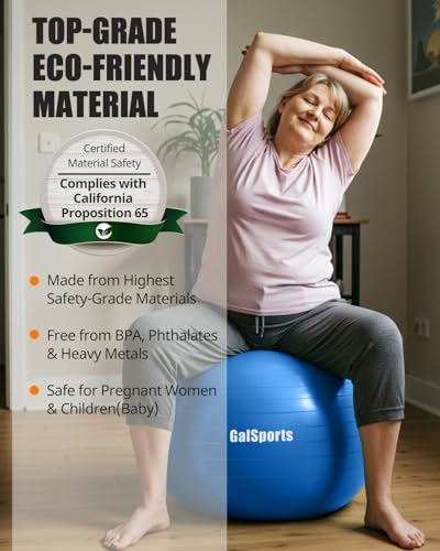 Image of GalSports Anti-Burst Slip Resistant Stability Ball - Swiss Ball for Home Gym & Physical Therapy