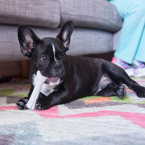 Petstages Kauknochen Hunde - Deerhorn Geweih - Langlebiger Hundeknochen & Hirschgeweih Alternative, Hergestellt aus natürlichem Geweihmaterial - Klein