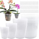 Baaxxango 48 PCS Plant Nursery Pots,Transparent Plastic Gardening Pot,Soft Clear Plastic Planter wit