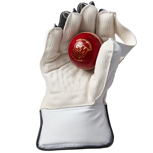 Gunn & Moore GM Aion Cricket Wicket Keeping Premium Gloves \' Various Sizes (Boys Size)