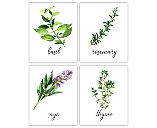 Vintage Fresh Herbs and Spices Botanical Wall Art - Give