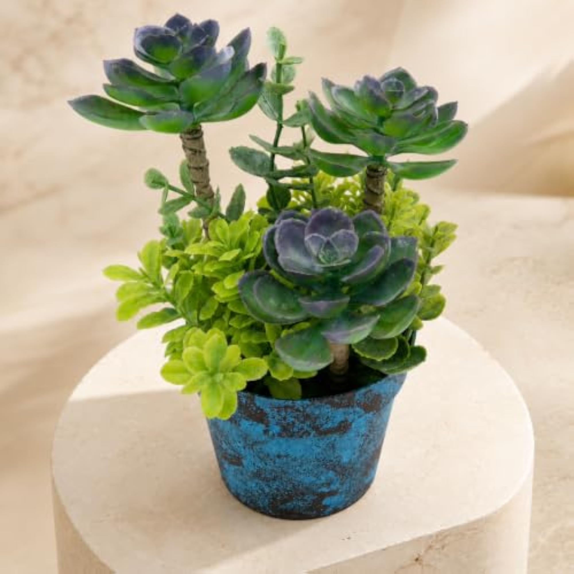 Desert Grove Artificial Succulent Plant Arrangement with Rustic Blue Decorative Pot