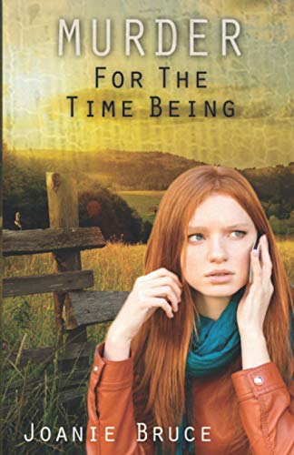 Murder for the Time Being view 2