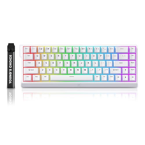 ZMX MCHOSE ACE 68 ���C�X�C�b�` RGB �Q�[�~���O�L�[�{�[�h 60%�z�[������ ���s�b�h�g���K�[ ���߉\�ȍ쓮 �z�b�g�X���b�v�\ �L�����J�j�J���L�[�{�[�h 8K Hz �|�[�����O���[�g PC/Mac�Q�[�}�[�p (�z���C�g)