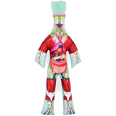 Dammit Doll - Limited Edition - Dammit Anatomy Doll- Stress Relief, Gag Gift