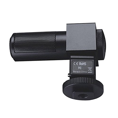 TAKSTAR SGC-698 Photography Interview MIC Microphone for Nikon Canon Camera DV Camcorder Canon 1DX 1D MARKIV 5DⅡ 5D3 7D 70D 550D 6D 60D 600D 5D 650D, 100D Nikon D300S / D4 / D35 / D5100 / D5200 / D53