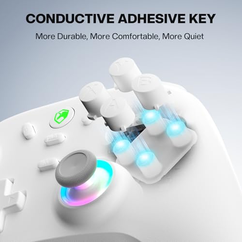 ECHTPower Wireless PC Gaming Controller - Hall Effect Joystick, 2.4G & Wired 1000Hz Polling Rate, 800mAh Battery, Adjustable Turbo/Vibration - for PC/Switch/iOS/Android - Image 7