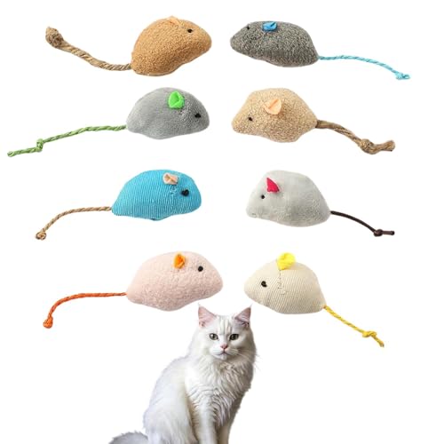 Lifetips ^[LbVo Turkish Van Lp lY~ʂ 8Zbg qL L V XgXU ^s ӂӂf L炵  ybgObY