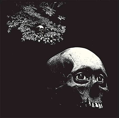 Album Art for Foul Form by OSEES
