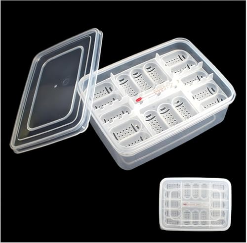 Vassoio per incubatrice per uova di rettili, Scatola da cova, scatola per allevamento di rettili,Incubatrice da cova trasparente per uova con 16 griglie - Scatola di incubazione, vassoio da cova