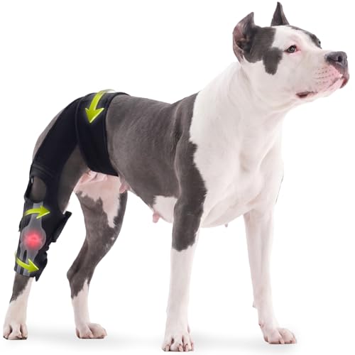 Pezluxe Dog Knee Braces for Back Leg Adjustable Torn ACL Brace for Dogs Breathable Dog Hip Brace with Stabilizers for Arthritis Joint Stability Luxating Patella & Post-Surgery Recovery (M)