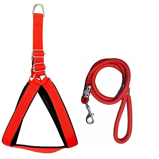Hundur Store Premium Non Padded Nylon Dog Harness with Rope (Small, Red) (B0B7FCRL5D) Amazon Price History, Amazon Price Tracker