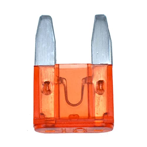 10 piezas de fusibles de auto coche camión motocicleta inserto 5A 7.5A 10A 15A 20A 25A 30A estándar micro mini fusible (mini, 10A)