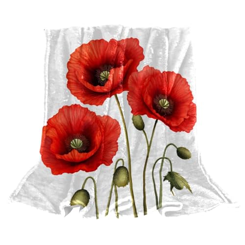 \tgȃX[uPbgA\t@pX[uPbg,A̐Ԃ uPbgA59x78.7C`