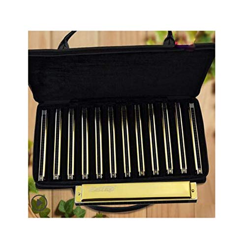KMDSM Harmonica, Harmonica 28 trous 12 tons, Harmonica professionnel mineur for adulte, Or, argent (emballage cadeau… - Les Beatles, Paul McCartney, John Lennon, RIngo Starr, George Harrison KMDSM Harmonica, Harmonica 28 trous 12 tons, Harmonica professionnel mineur for adulte, Or, argent (emballage cadeau…
